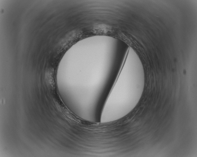 X0000087540616200704270925