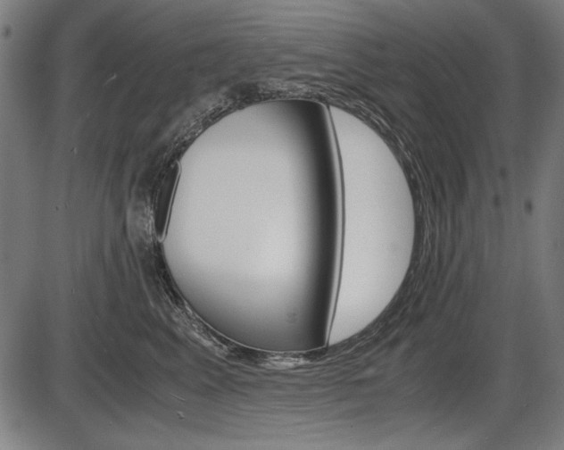 X0000087540617200704270925
