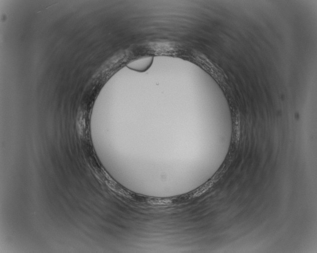 X0000087540618200704270925