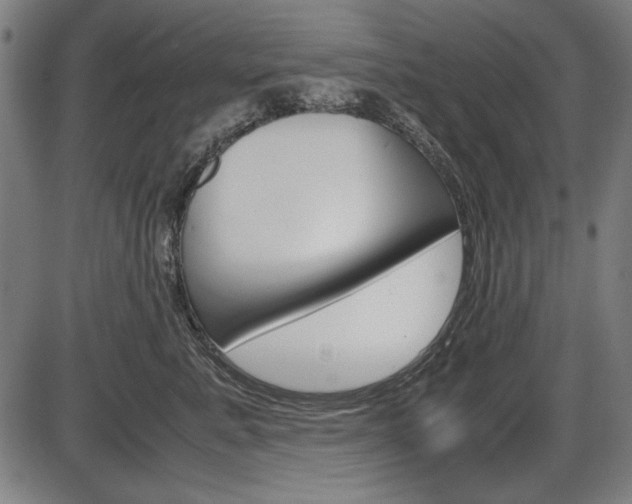 X0000087540619200704270925