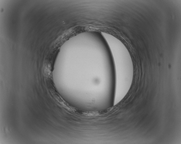 X0000087540621200704270925