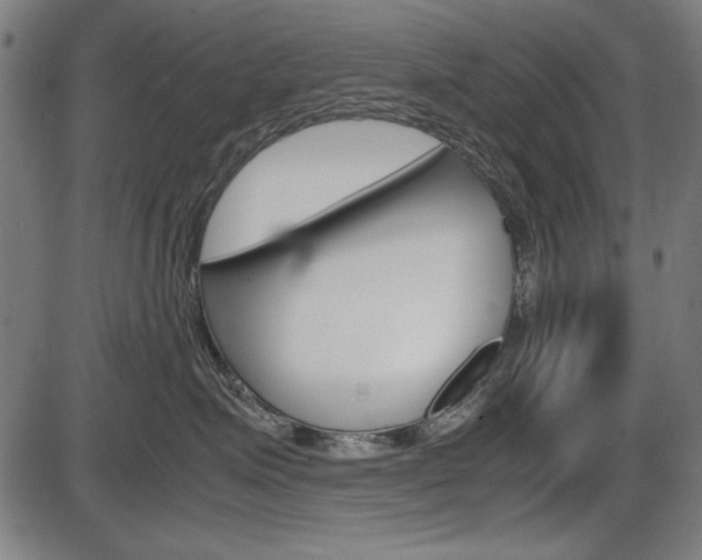 X0000087540623200704270925