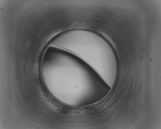 X0000087540627200704270924