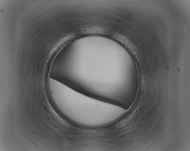 X0000087540629200704270924