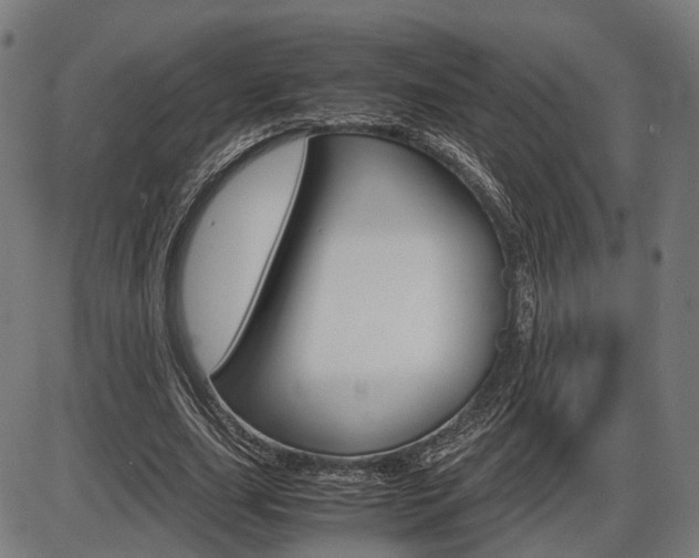 X0000087540631200704270924