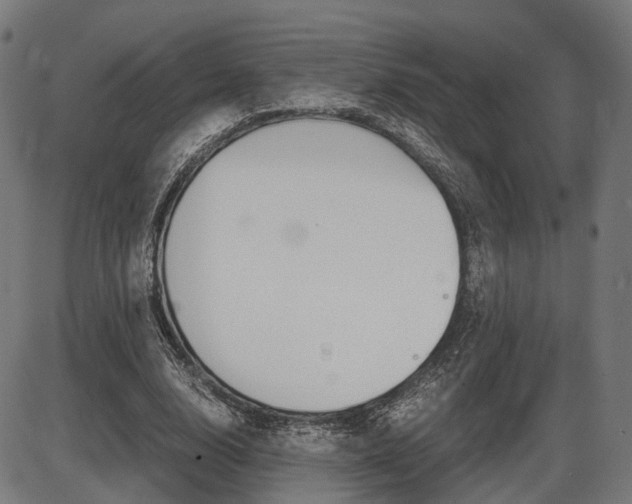X0000087540632200704270924