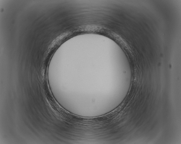 X0000087540636200704270925