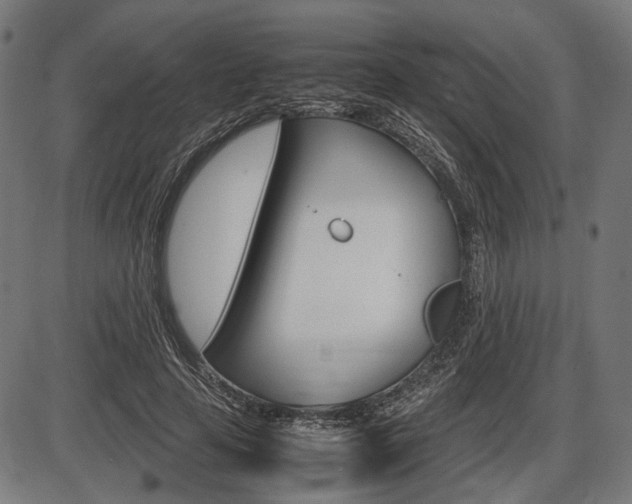 X0000087540641200704270925