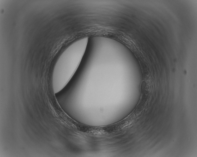 X0000087540642200704270925
