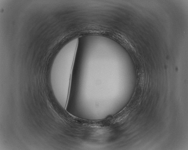 X0000087540643200704270925