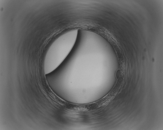 X0000087540644200704270925