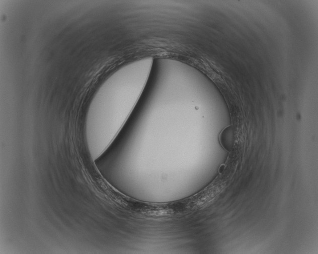 X0000087540646200704270925