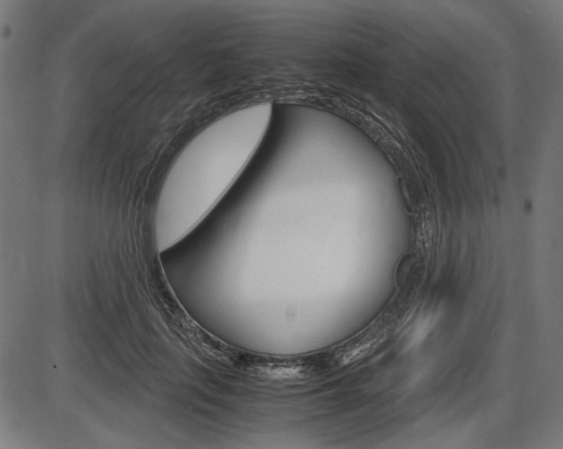 X0000087540651200704270925