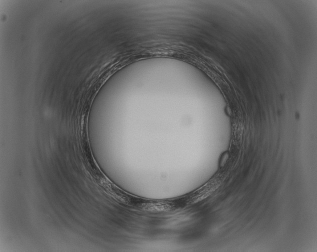 X0000087540652200704270925