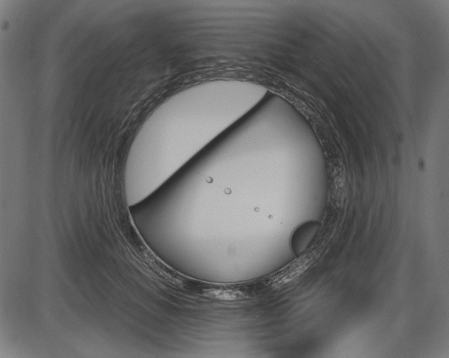 X0000087540654200704270925