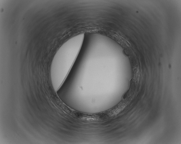 X0000087540655200704270925