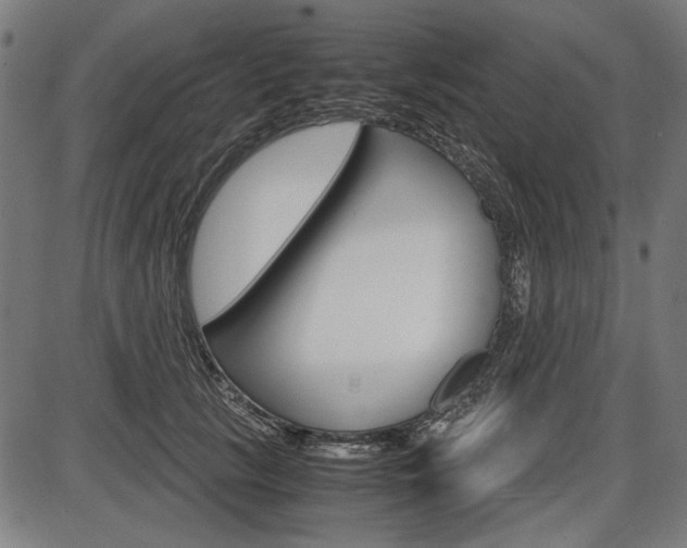 X0000087540657200704270925