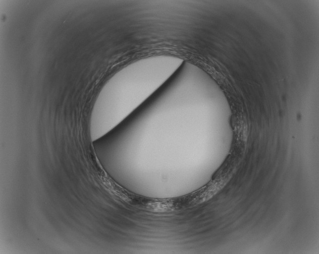 X0000087540660200704270925