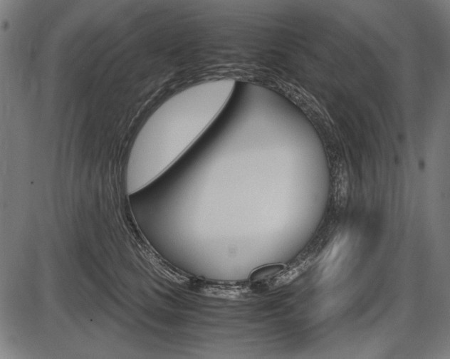 X0000087540661200704270925