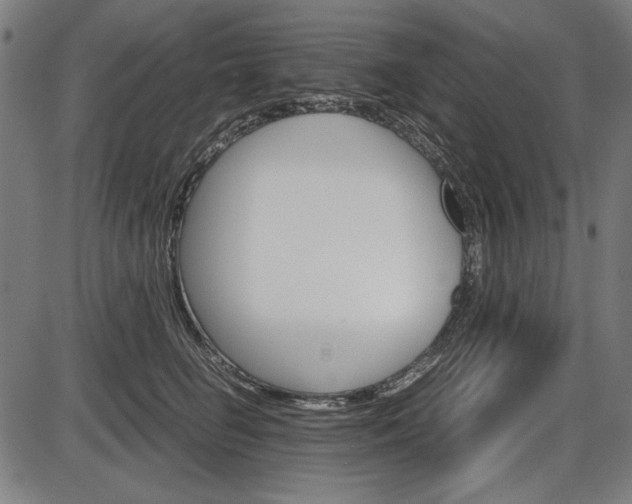 X0000087540662200704270925