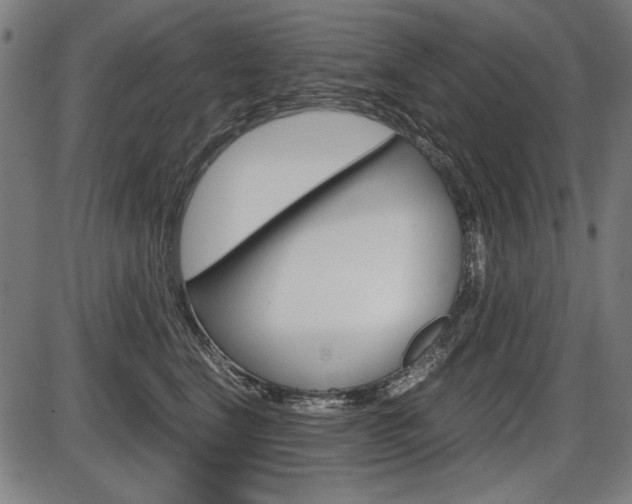 X0000087540664200704270925