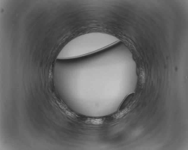 X0000087540665200704270925