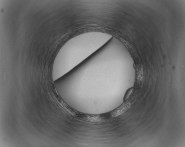 X0000087540666200704270925