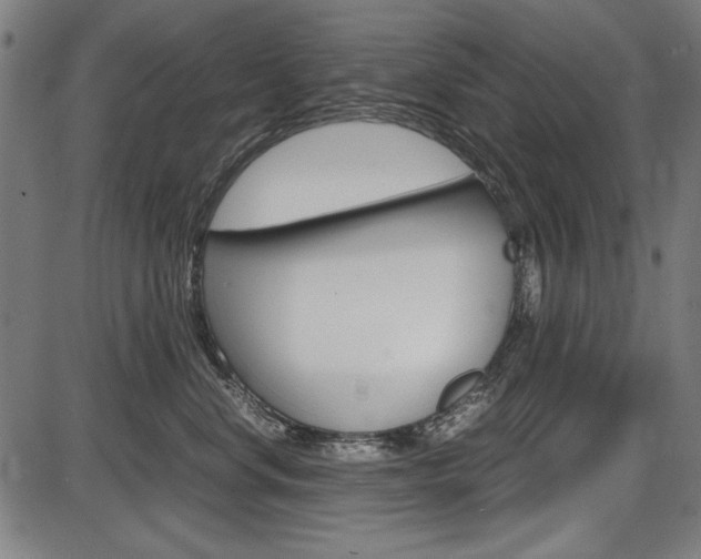 X0000087540668200704270925