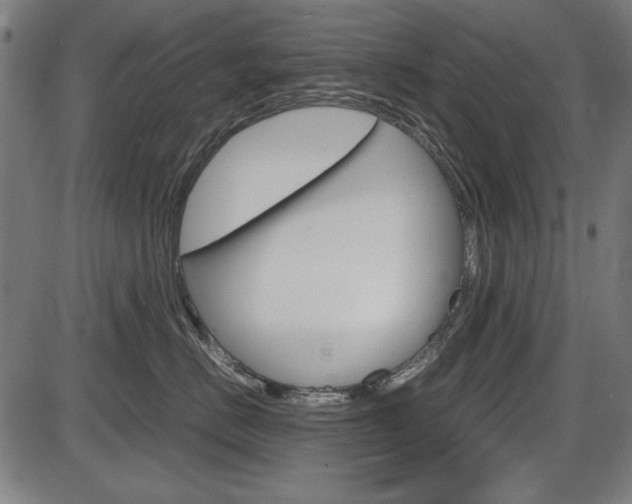 X0000087540670200704270925
