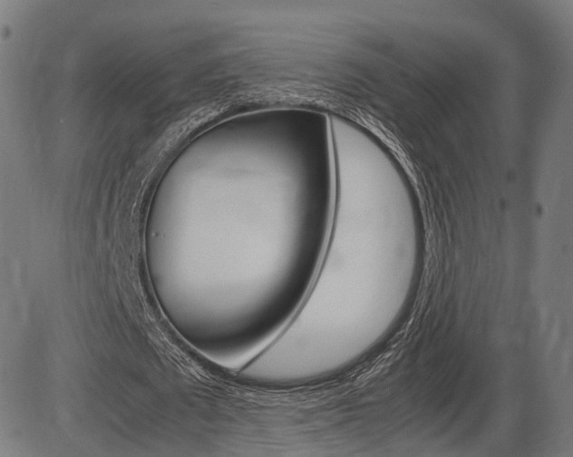 X0000087540673200704270924