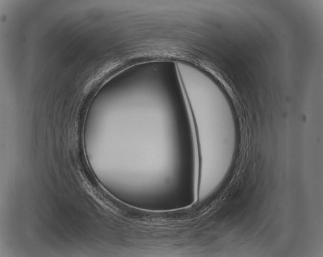 X0000087540677200704270924