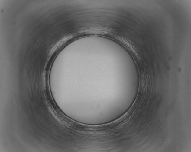 X0000087540678200704270924