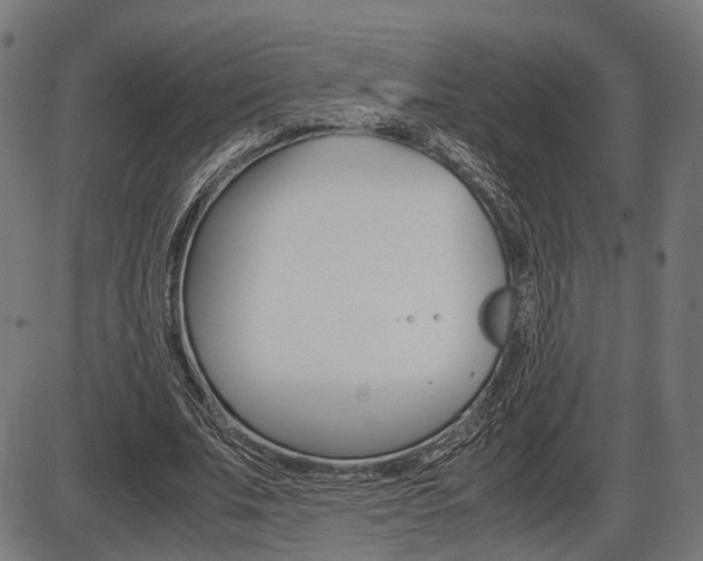 X0000087540679200704270924