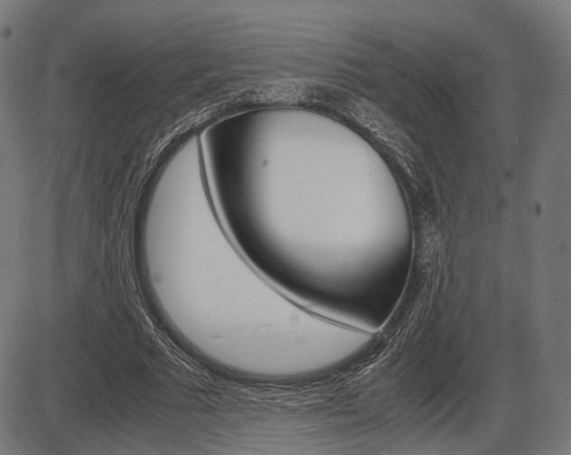X0000087540681200704270924