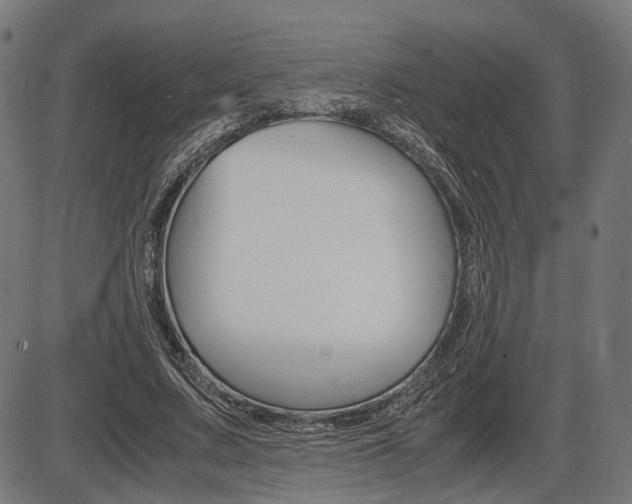 X0000087540683200704270924