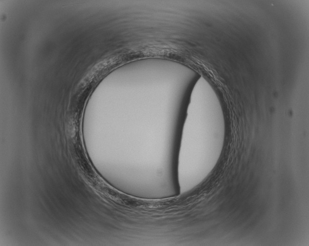 X0000087540687200704270924
