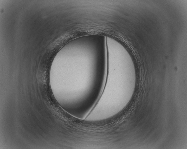 X0000087540689200704270924