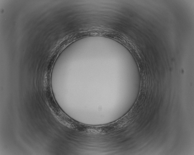 X0000087540690200704270924