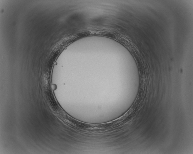 X0000087540691200704270924