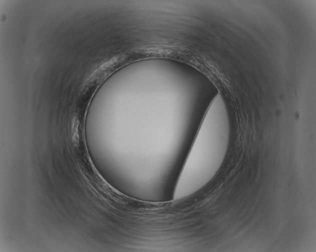 X0000087540692200704270924