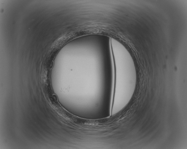 X0000087540693200704270924