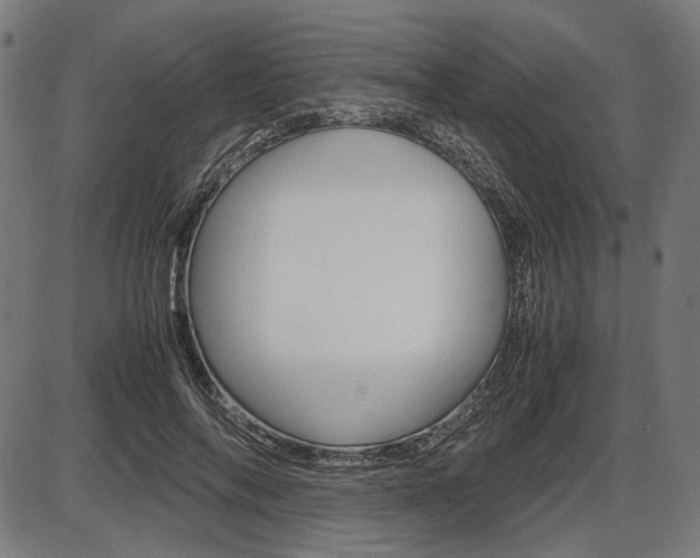 X0000087540694200704270924