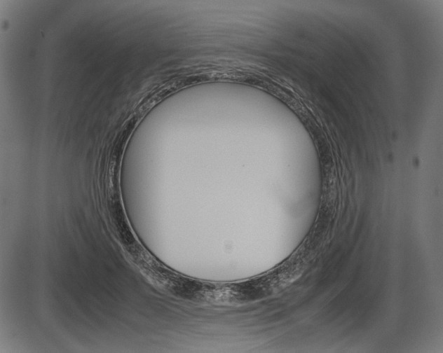 X0000087540695200704270924