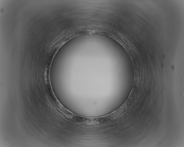 X0000087540696200704270924