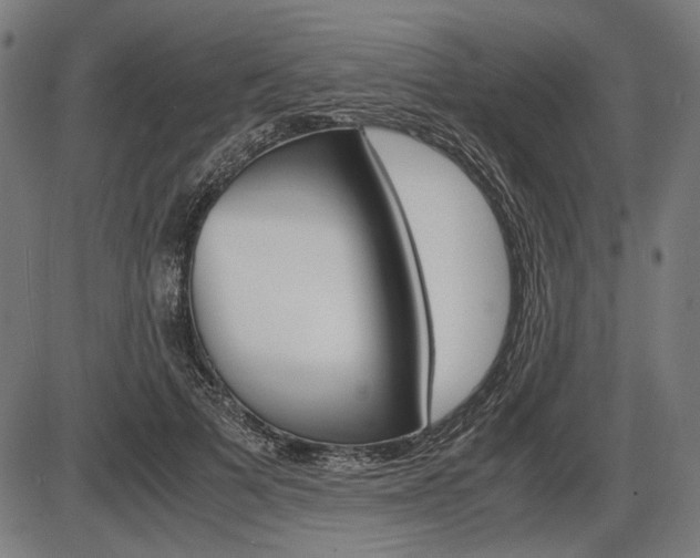 X0000087540697200704270924