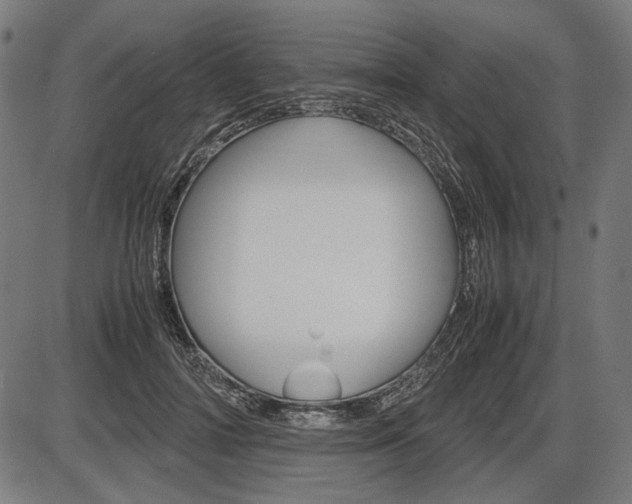 X0000087540698200704270924