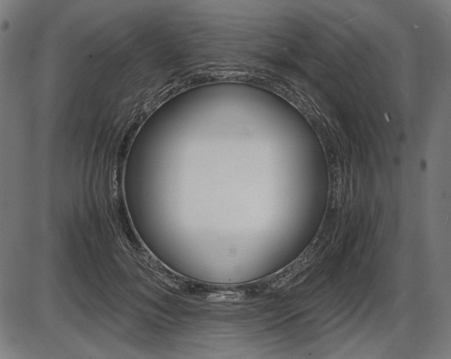 X0000087540700200704270924