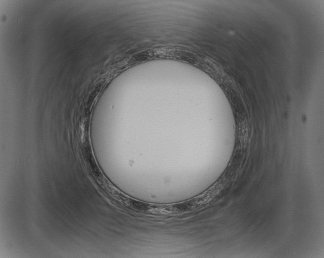 X0000087540703200704270924