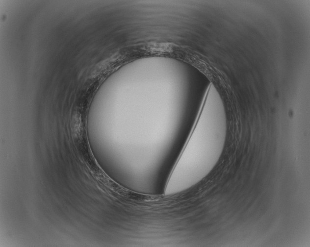 X0000087540704200704270924