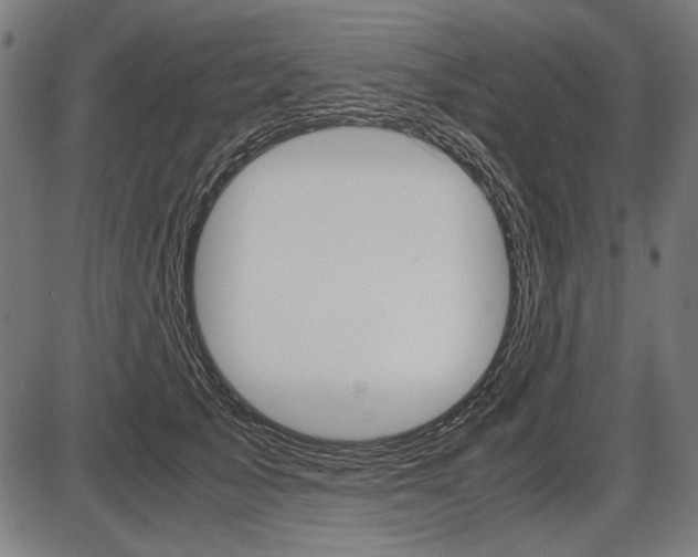 X0000087540705200704270924